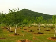 Prodaja, plac, 3800m², Grahovo, Nikšić - image 6