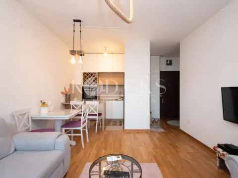 Izdavanje, jednosoban stan, 42m², City Kej, Podgorica - image 3