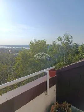 Pogled sa terase na zelenilo i reku. - image 11
