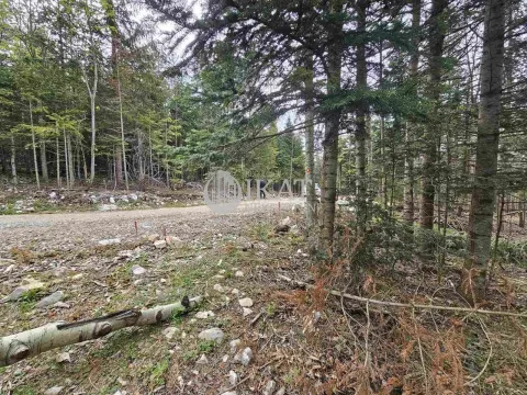 Sale, land lot, 500m², Tara, Srbija - image 6