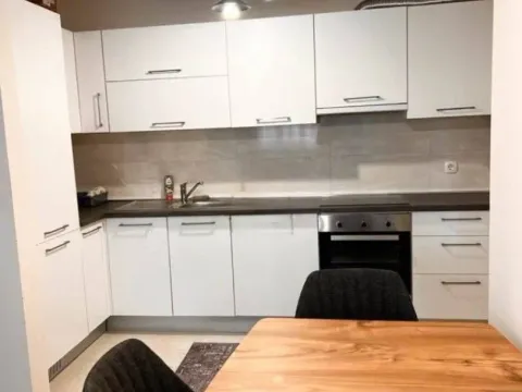 Izdavanje, jednosoban stan, 53m², Central Point, Podgorica - image 2