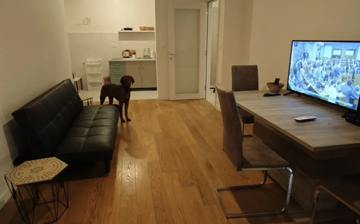 Izdavanje, jednosoban stan, 51m², City Kvart, Podgorica