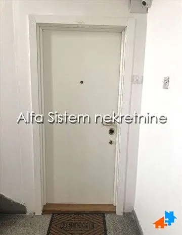 Izdavanje, dvosoban stan, 50m², Vračar Centar, Vračar Sve Podlokacije