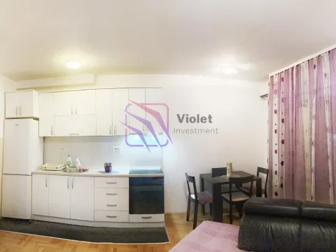 Izdavanje, jednosoban stan, 45m², Stari Aerodrom, Podgorica - image 13