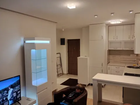 Izdavanje, jednosoban stan, 38m², Gintaš, Podgorica - image 6