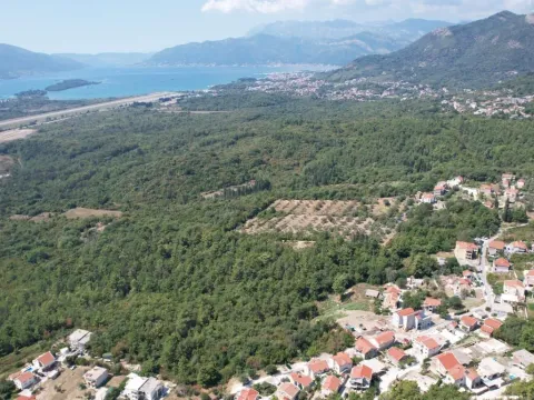 Sale, land lot, 7700m², Kavač, Kotor - image 18