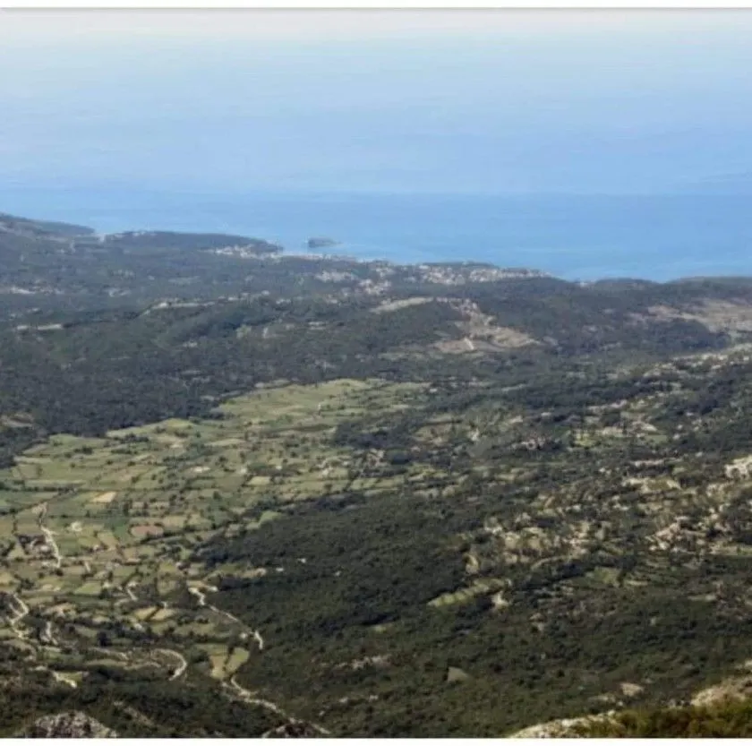 Prodaja, plac, 1260m², Dabezići, Bar