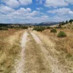 Prodaja, plac, 35832m², Žabljak, Crna Gora - image 2