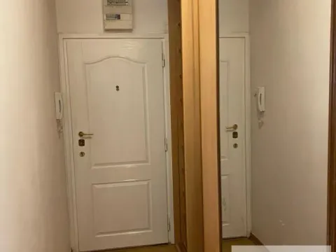 Izdavanje, dvosoban stan, 67m², Novi Beograd Blok 22, Novi Beograd Sve Podlokacije