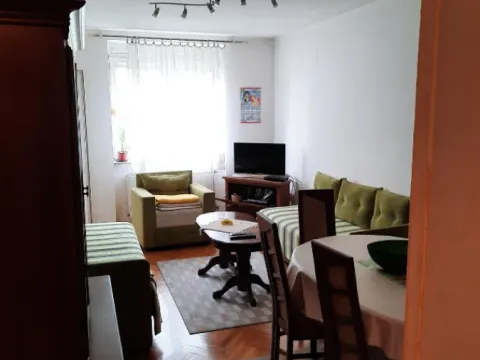 Prodaja, dvosoban stan, 46m², Grbavica, Novi Sad Sve Podlokacije - image 3