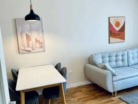 Izdavanje, jednosoban stan, 40m², Tuški Put, Podgorica - image 6