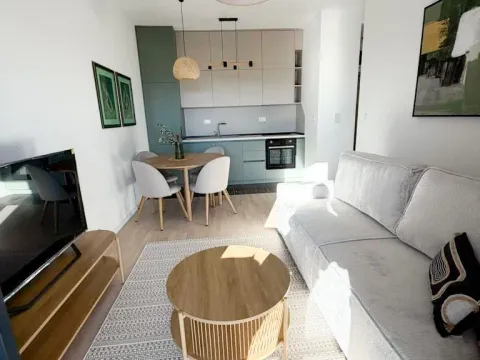 Izdavanje, jednosoban stan, 44m², Tološi, Podgorica - image 3