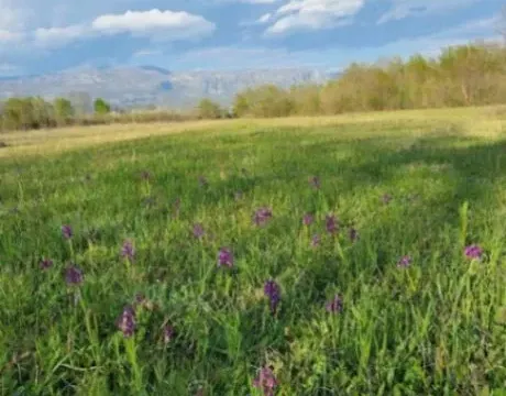 Sale, land lot, 5554m², Jastreb, Danilovgrad - image 2