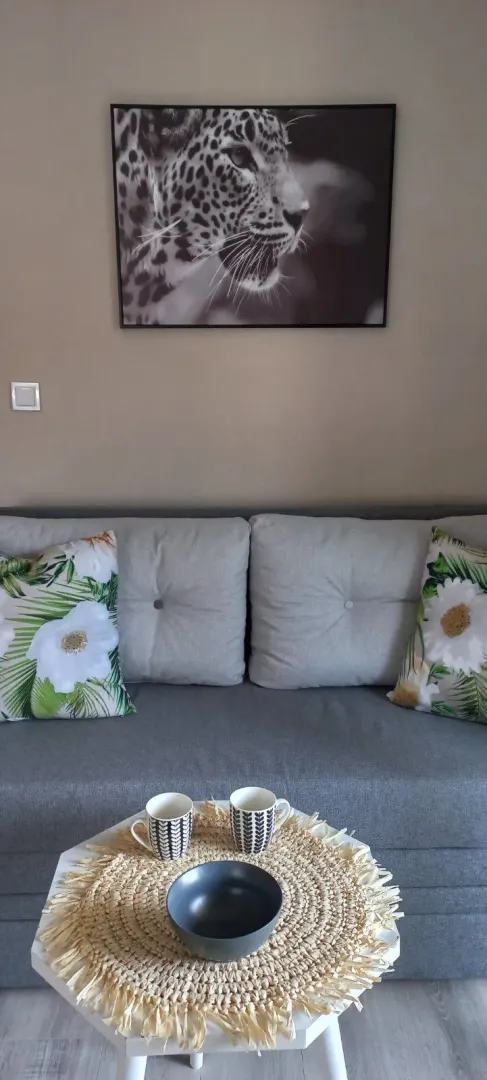 Gray sofa with decorative pillows in the living room.