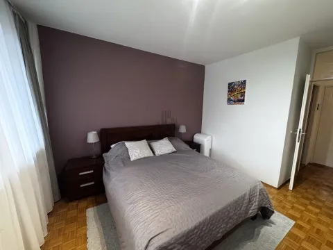 Izdavanje, dvosoban stan, 54m², Novi Beograd Sve Podlokacije, Beograd - image 7