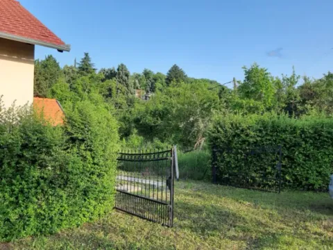 Rent, land lot, 800m², Novi Sad, Srbija - image 12