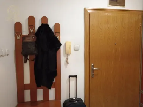 Izdavanje, jednosoban stan, 30m², Nova Detelinara, Novi Sad Sve Podlokacije - image 9