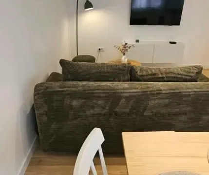 Izdavanje, jednosoban stan, 40m², Centar, Novi Sad - image 4