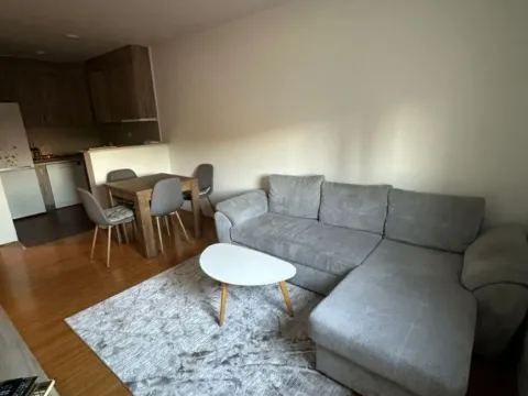 Rent, one bedroom apartment, 40m², Zabjelo, Podgorica - image 10