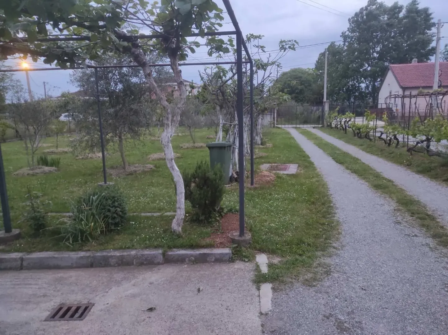 Spacious yard with a gravel driveway, lawn, and grapevine trellis.