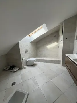 Modern attic bathroom with a skylight and a walk-in shower. - image 25