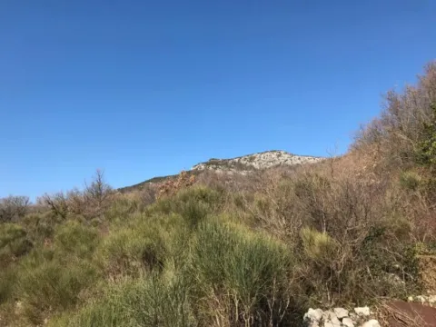 Prodaja, plac, 914m², Kuljače, Budva - image 3