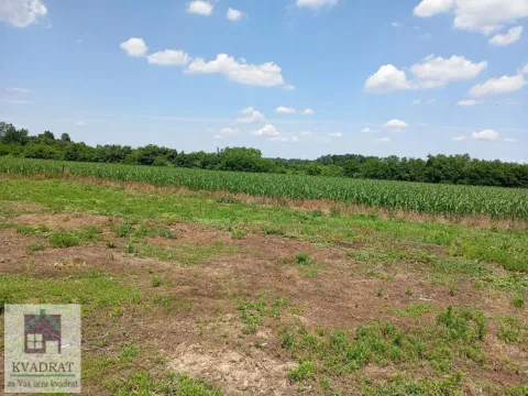 Prodaja, kuća, 80m², Poljane, Obrenovac - image 11