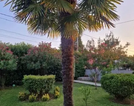 Izdavanje, trosoban stan, 94m², Murtovina, Podgorica - image 4