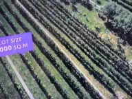 Sale, house, 220m², Sotonići, Bar - image 11