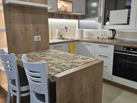 Izdavanje, jednosoban stan, 40m², Preko Morače, Podgorica - image 4