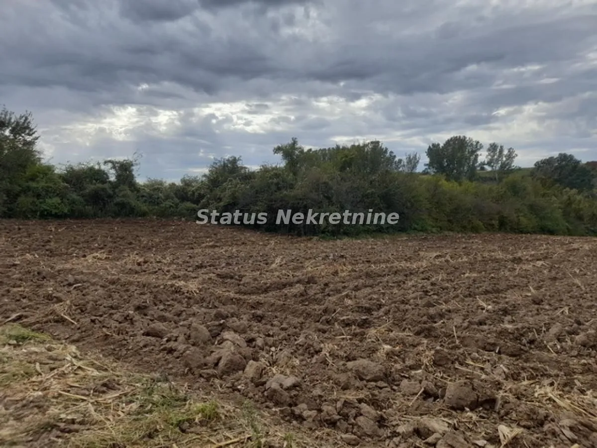 Prodaja, plac, 3700m², Irig, Srbija