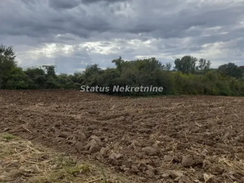 Prodaja, plac, 3700m², Irig, Srbija - image 10