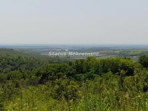 Pogled na prirodu i zelenilo iz okoline nekretnine. - image 5