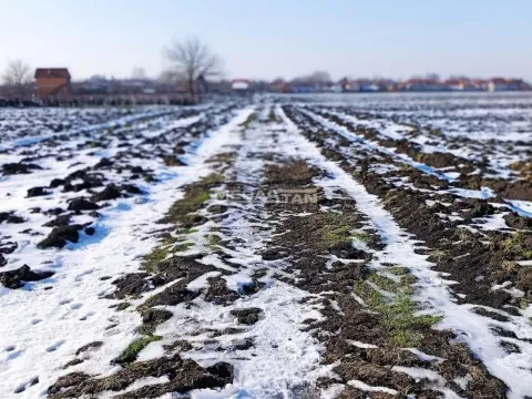 Prodaja, plac, 480m², Stari Tamiš, Pančevo - image 4