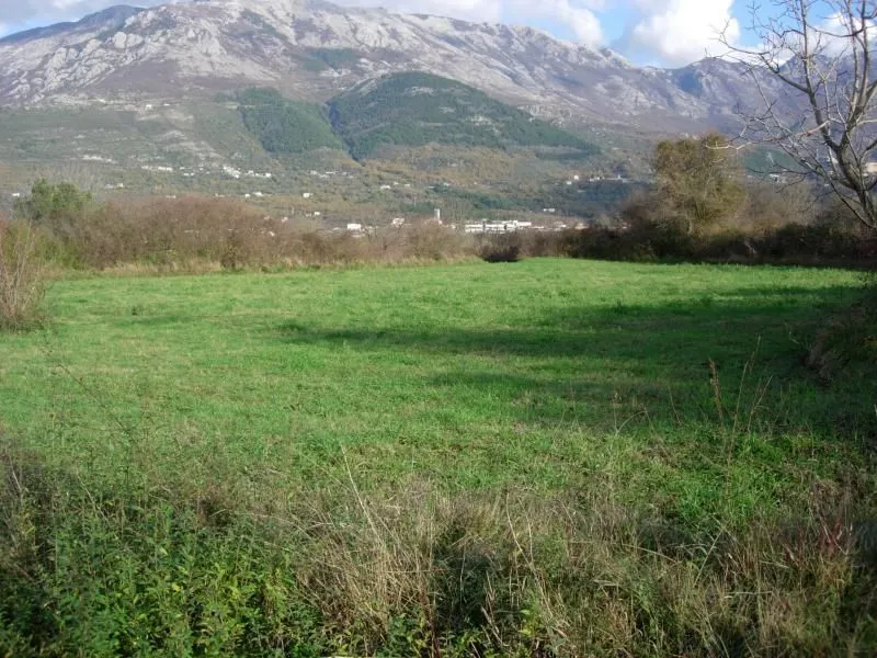 Prodaja, plac, 2730m², Lješevići, Kotor