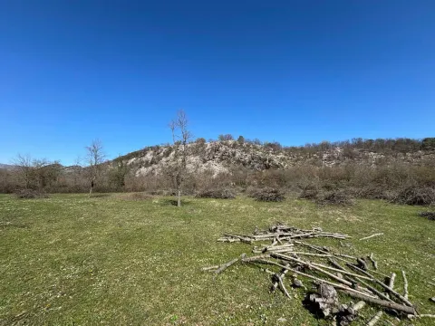 Prodaja, plac, 15937m², Danilovgrad, Crna Gora - image 13