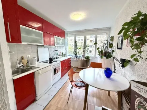 Izdavanje, dvosoban stan, 50m², Tašmajdan, Palilula Sve Podlokacije - image 5