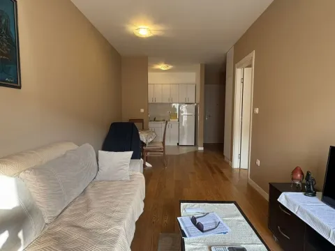 Izdavanje, jednosoban stan, 40m², Central Point, Podgorica - image 1