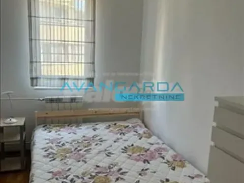 Izdavanje, stan, 45m², Južni Bulevar, Vračar Sve Podlokacije - image 13