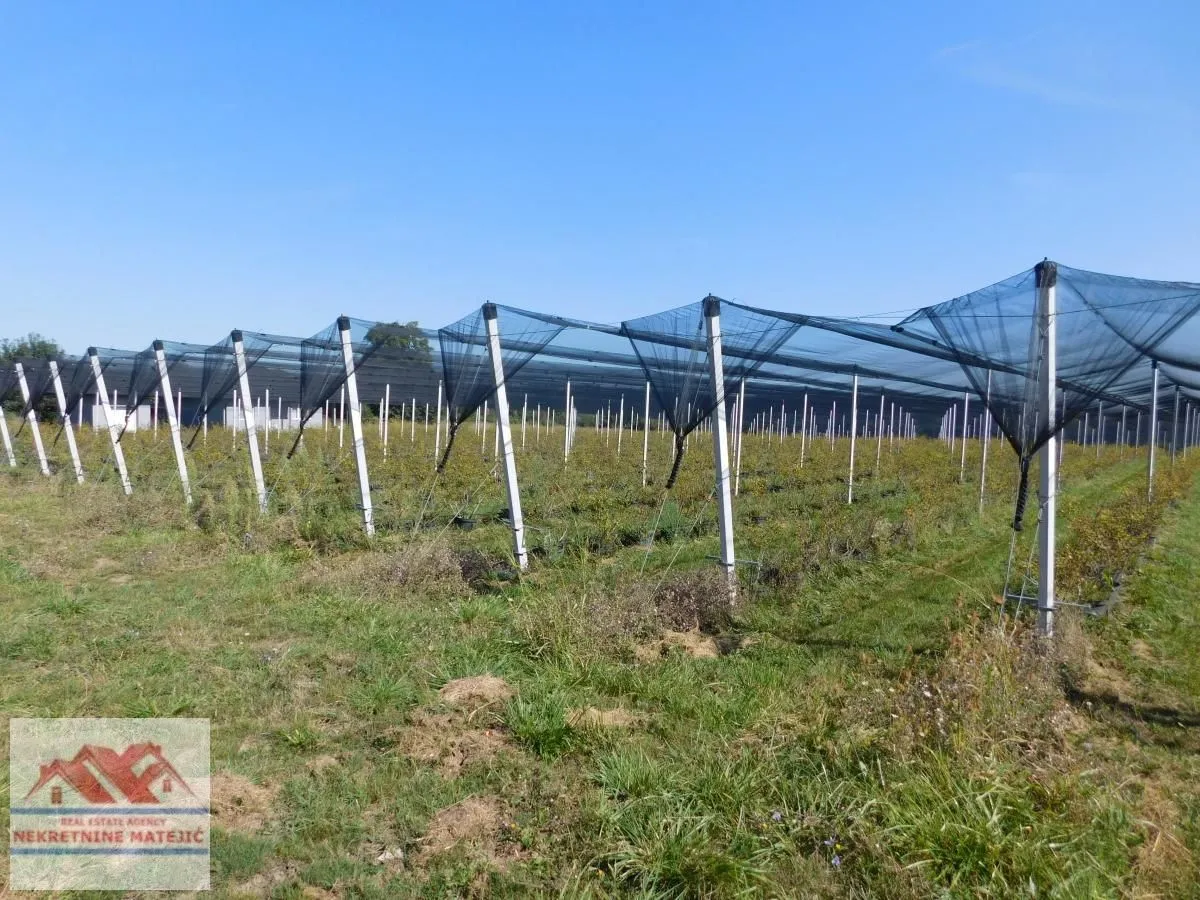 Prodaja, plac, 350m², Kragujevac, Srbija