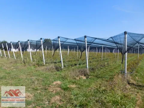 Sale, land lot, 350m², Kragujevac, Srbija - image 8