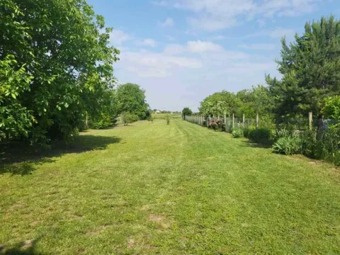 Sale, house, 80m², Belegiš, Stara Pazova - image 10