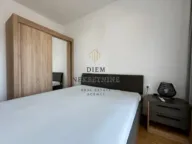 Izdavanje, jednosoban stan, 50m², New City, Podgorica - image 3