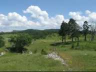 Sale, land lot, 10560m², Njegovuđa, Žabljak - image 5