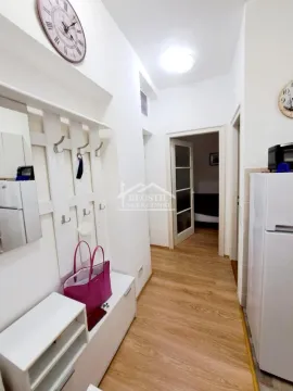 Izdavanje, jednosoban stan, 24m², Vračar Centar, Vračar Sve Podlokacije - image 4