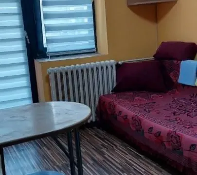 Rent, studio apartment, 20m², Centar, Novi Sad - image 3