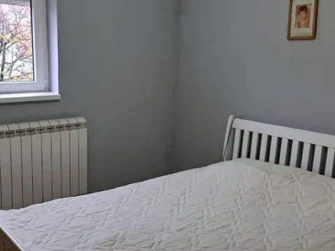 Sale, house, 365m², Nova Pazova, Stara Pazova - image 17