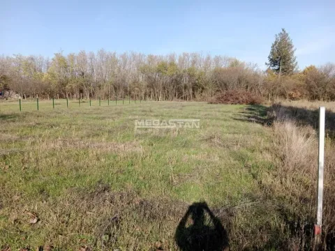 Prodaja, plac, 1500m², Skela, Obrenovac