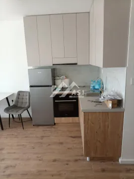 Izdavanje, dvosoban stan, 50m², Veternik, Novi Sad Sve Podlokacije - image 5
