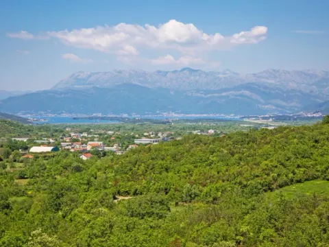 Izdavanje, jednosoban stan, 50m², Radanovići, Kotor - image 2